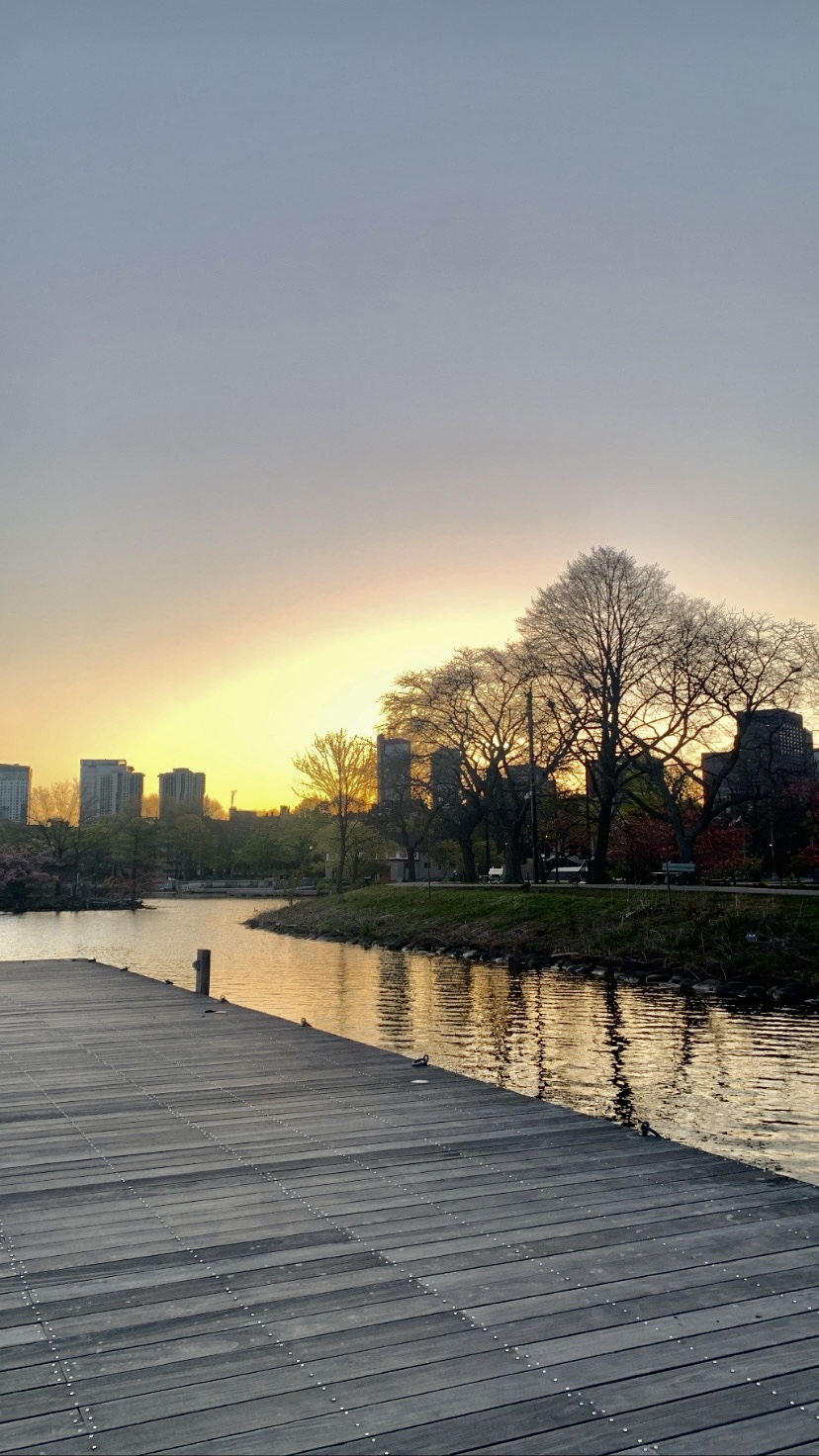 Boston sunset view